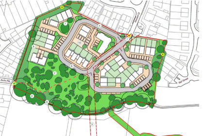 Councillors approve Hailsham homes despite wildlife concerns - Hailsham Newsapaper