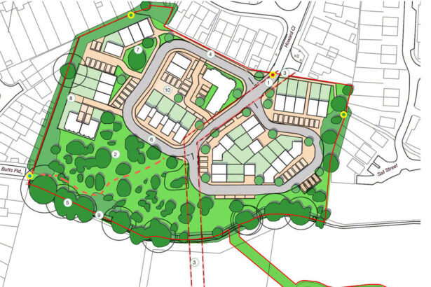 Councillors approve Hailsham homes despite wildlife concerns - Hailsham Newsapaper