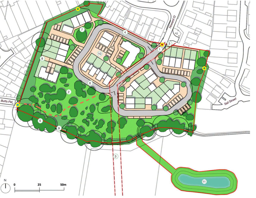 Councillors approve Hailsham homes despite wildlife concerns - Hailsham Newsapaper