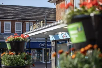 Vicarage Field Centre with flowers - Consultation period - Hailsham Newspaper