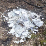 Deliberately burned books cause of Abbots Wood wildfire - Hailsham Newspaper