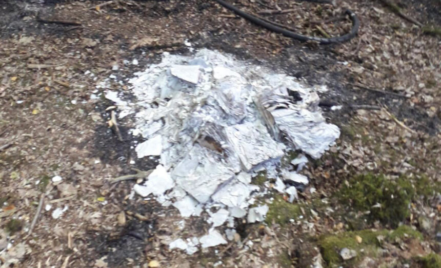 Deliberately burned books cause of Abbots Wood wildfire - Hailsham Newspaper