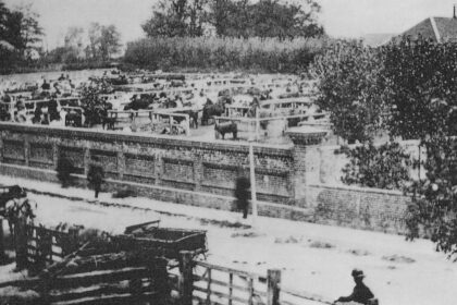 Hailsham-Market